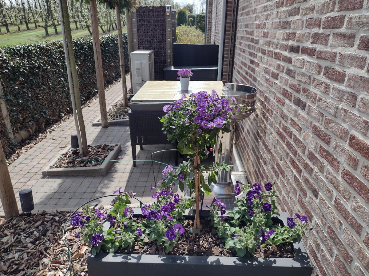 Hasbania Vakantiewoning Gingelom Екстер'єр фото